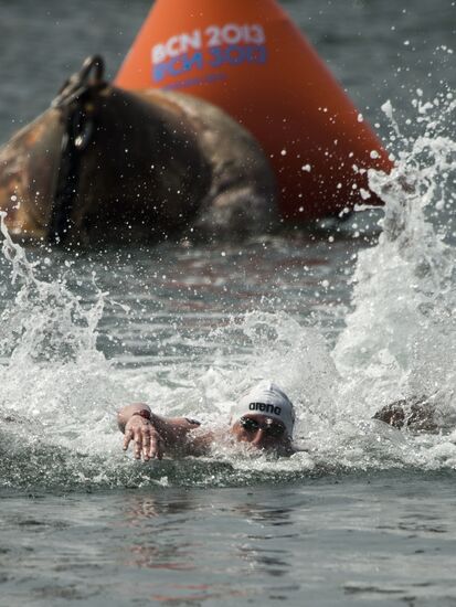 Чемпионат мира по водным видам спорта. 8-й день. Открытая вода. 25 км