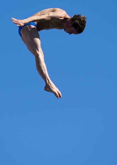 Чемпионат мира по водным видам спорта. 12-й день. Хайдайвинг