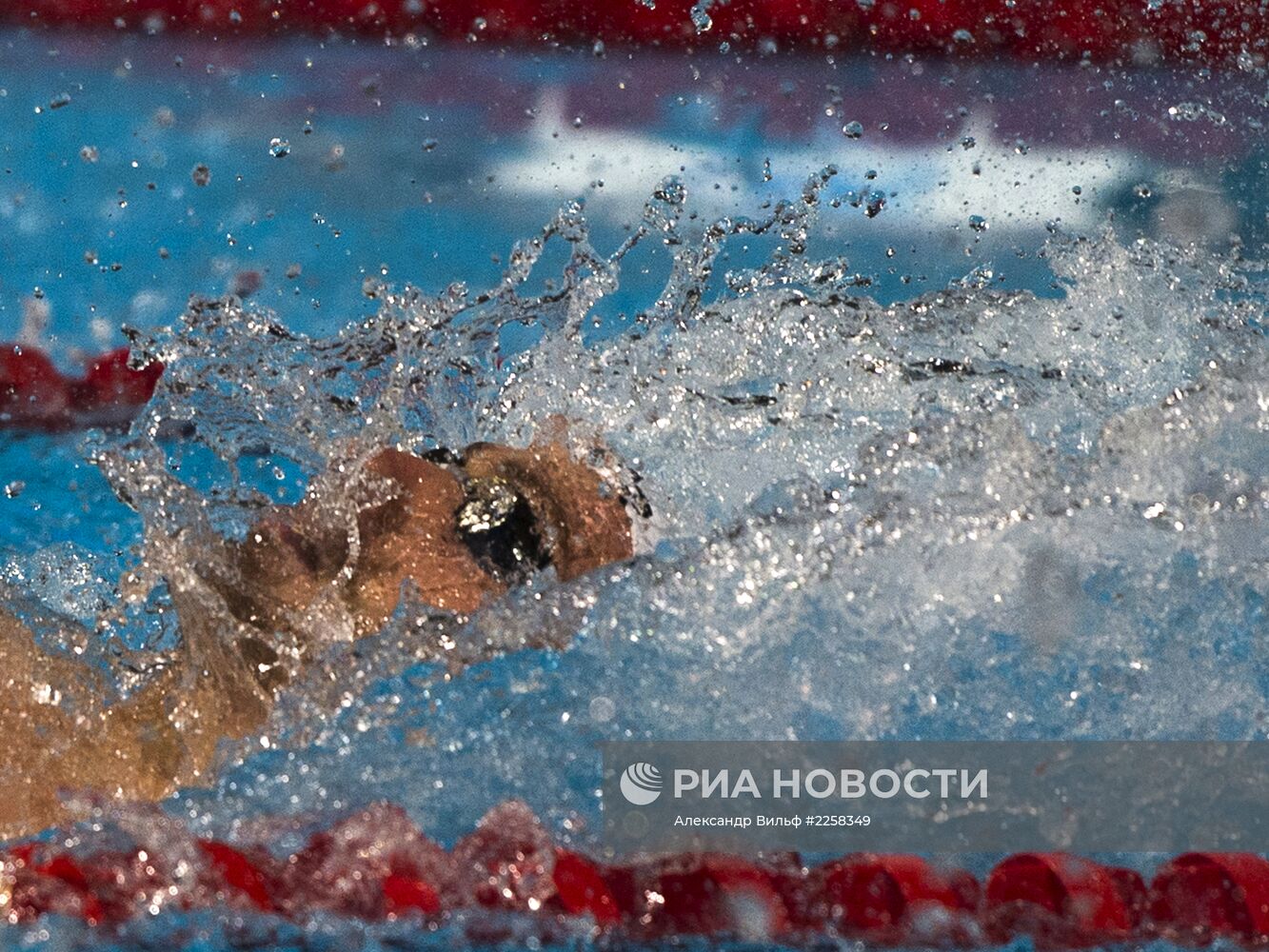 Чемпионат мира по водным видам спорта. 16-й день. Плавание. Финалы