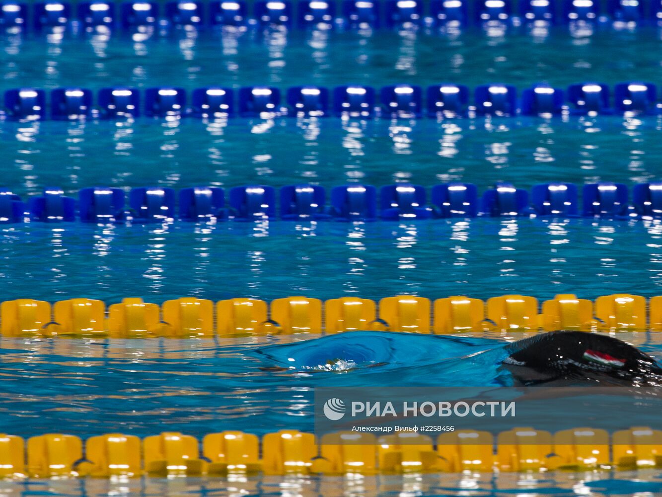 Чемпионат мира по водным видам спорта. 16-й день. Плавание