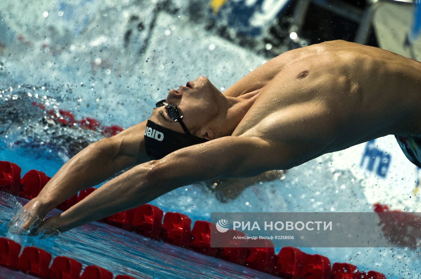 Чемпионат мира по водным видам спорта. 16-й день. Плавание