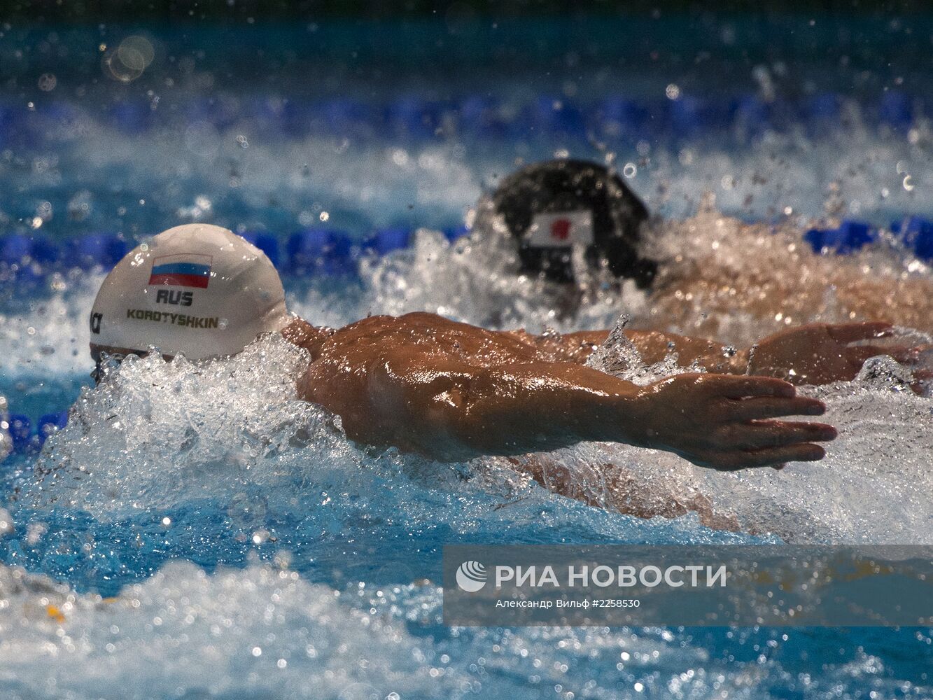 Чемпионат мира по водным видам спорта. 16-й день. Плавание
