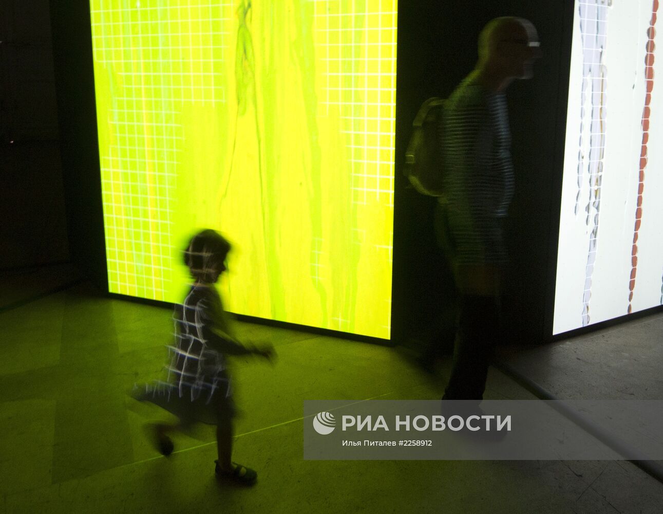 Открытие выставки Lexus Hybrid Art в ЦВЗ "Манеж"