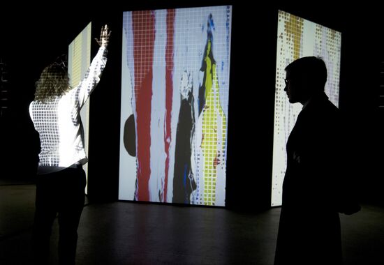 Открытие выставки Lexus Hybrid Art в ЦВЗ "Манеж"