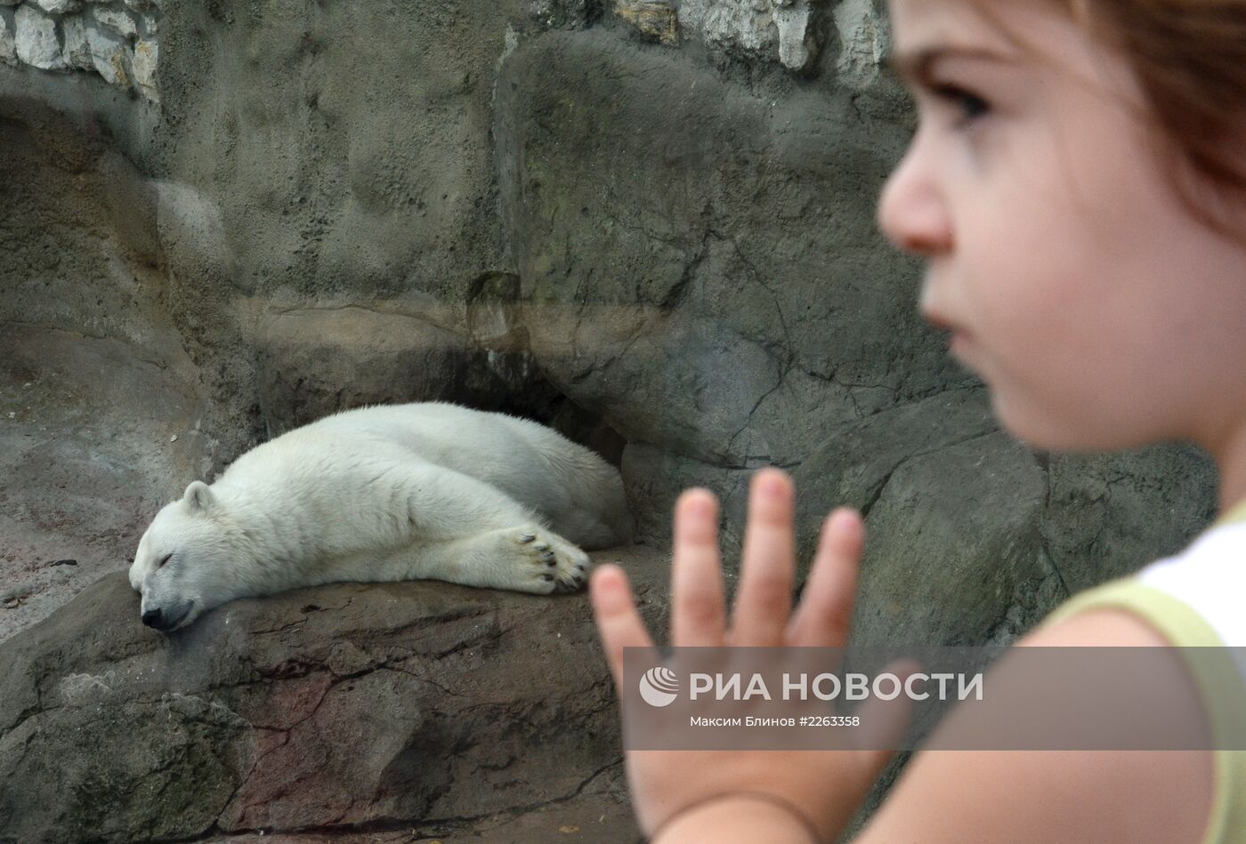 Московский зоопарк в летний день