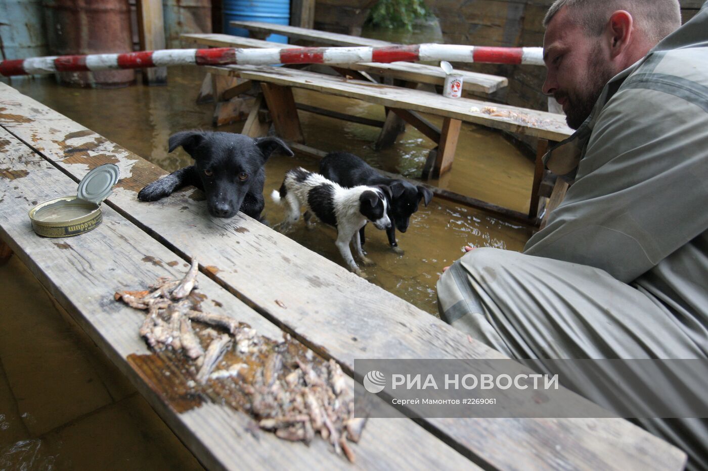 Паводок в Амурской области