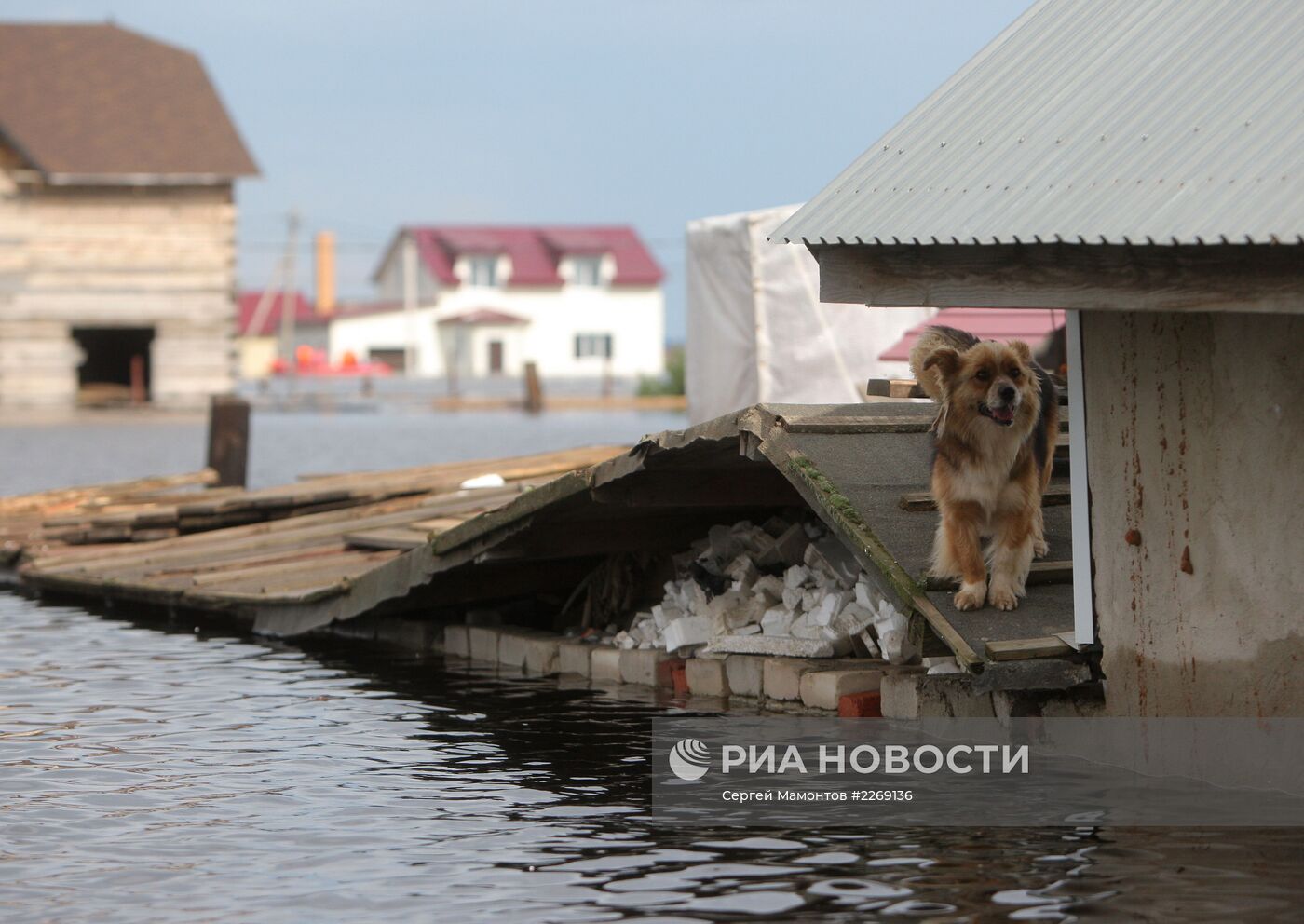 Паводок в Амурской области