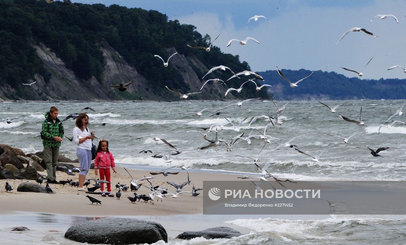 Отдых в Светлогорске