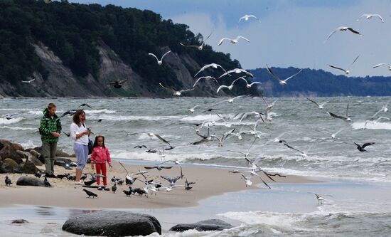 Отдых в Светлогорске