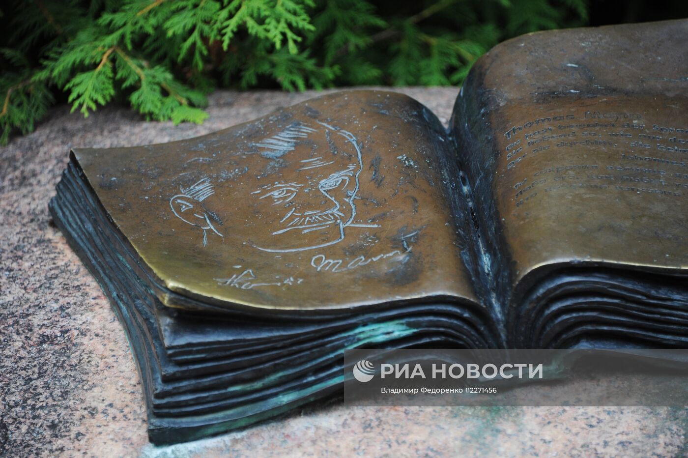 Города России. Светлогорск