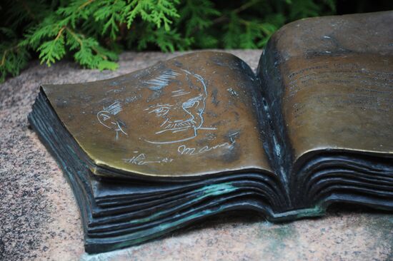 Города России. Светлогорск