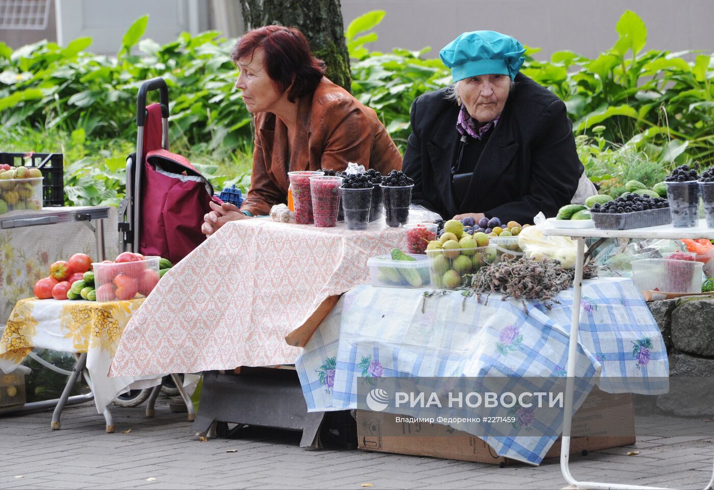 Города России. Светлогорск