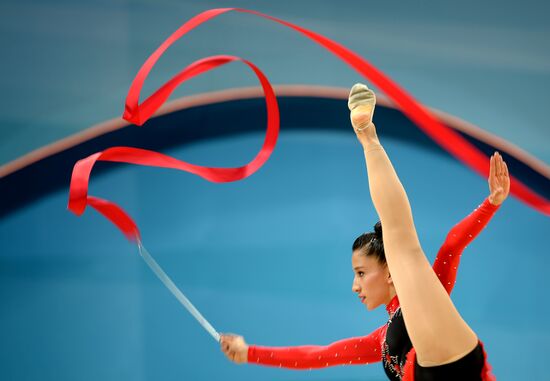 Художественная гимнастика. ЧМ-2013. Второй день. Квалификация
