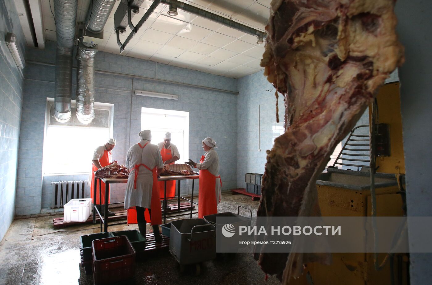 Россельхознадзор усилит контроль мясной продукции из Белоруссии