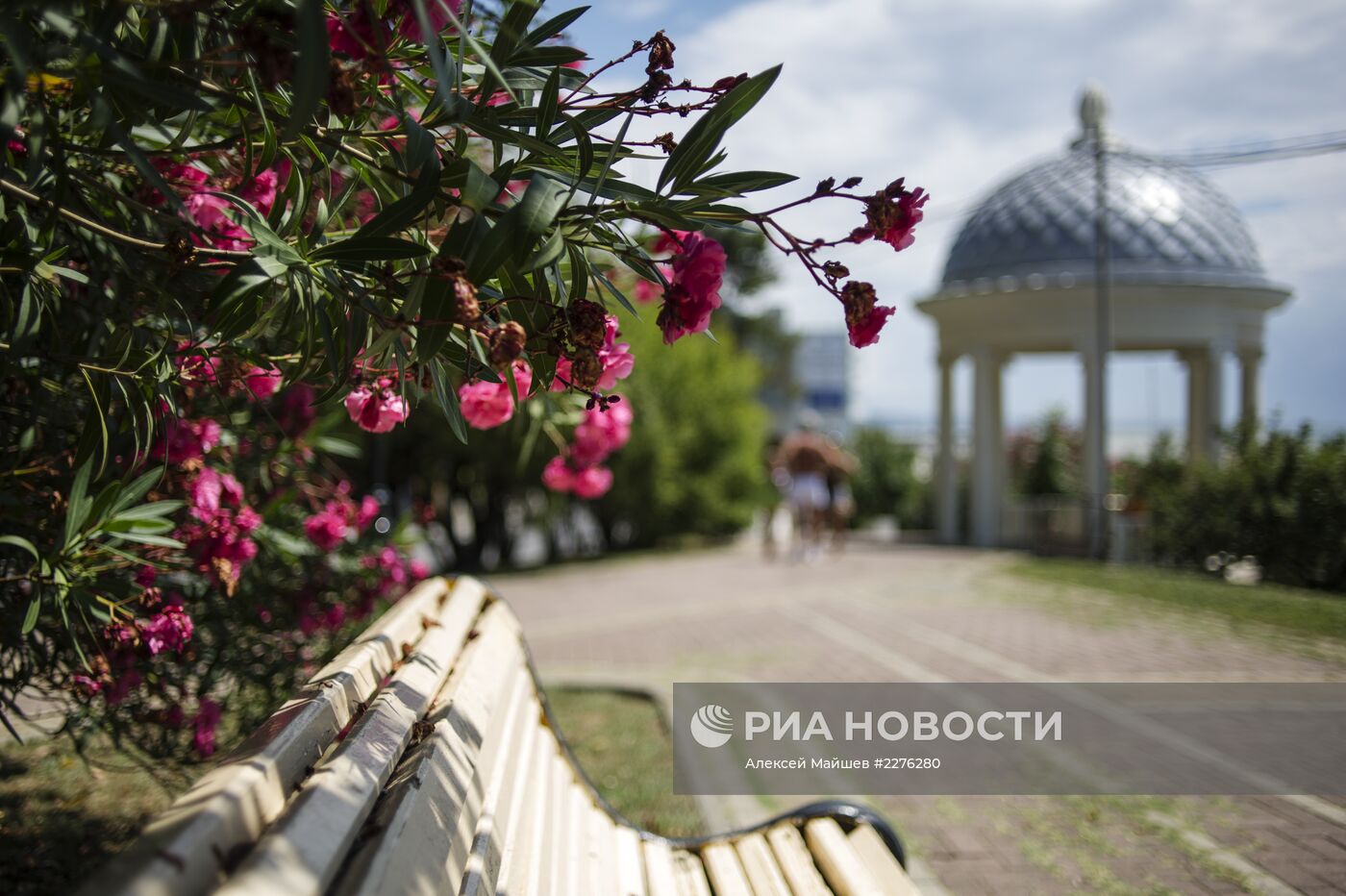 Сочи - столица зимних Олимпийских игр