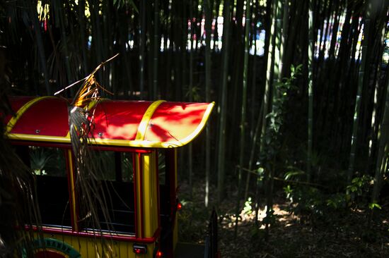 Сочи - столица зимних Олимпийских игр