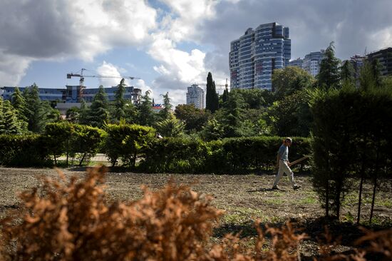 Сочи - столица зимних Олимпийских игр