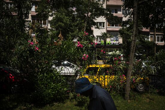 Сочи - столица зимних Олимпийских игр