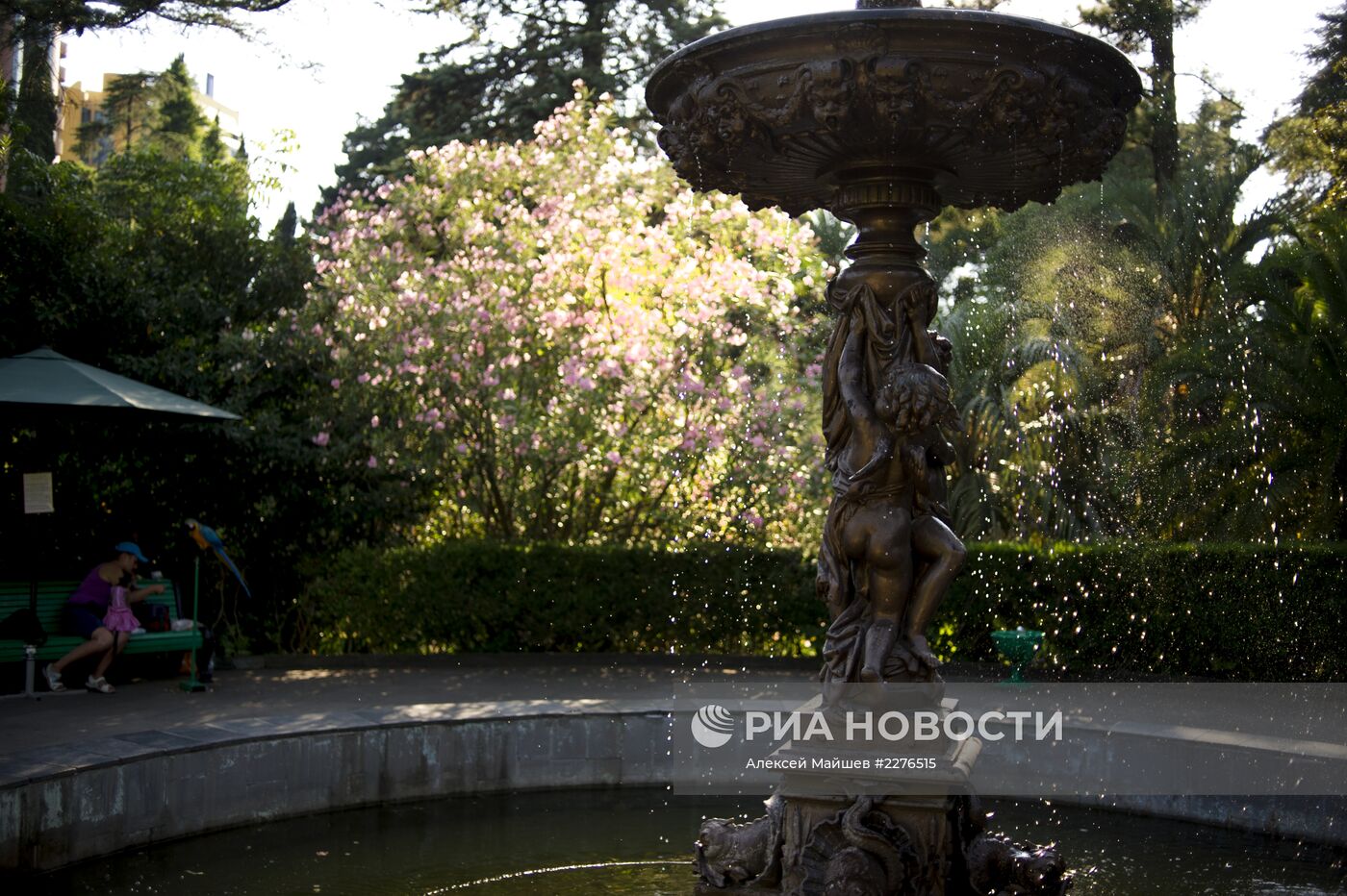 Сочи - столица зимних Олимпийских игр