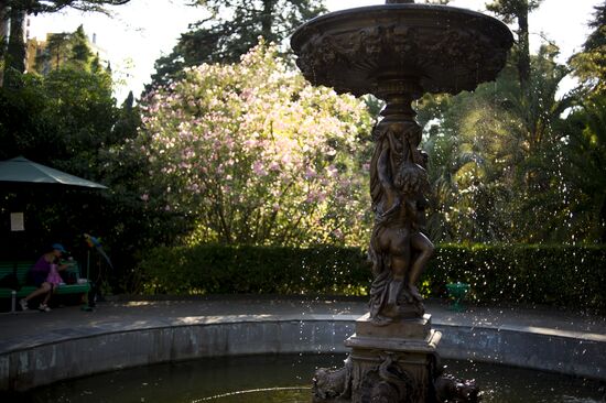 Сочи - столица зимних Олимпийских игр