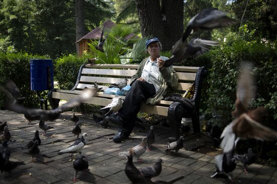 Сочи - столица зимних Олимпийских игр