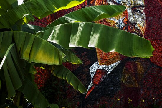 Сочи - столица зимних Олимпийских игр