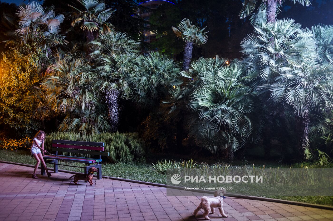 Сочи - столица зимних Олимпийских игр