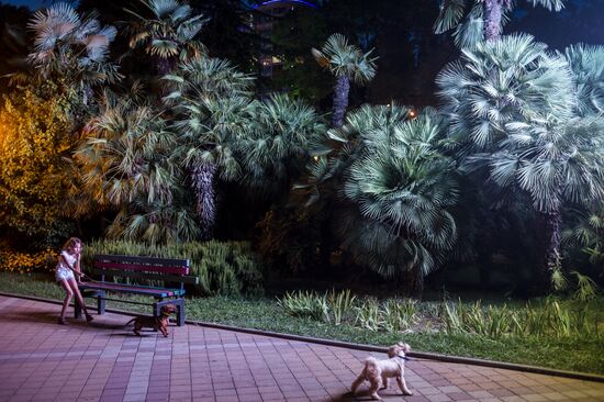 Сочи - столица зимних Олимпийских игр