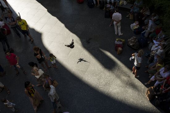 Сочи - столица зимних Олимпийских игр