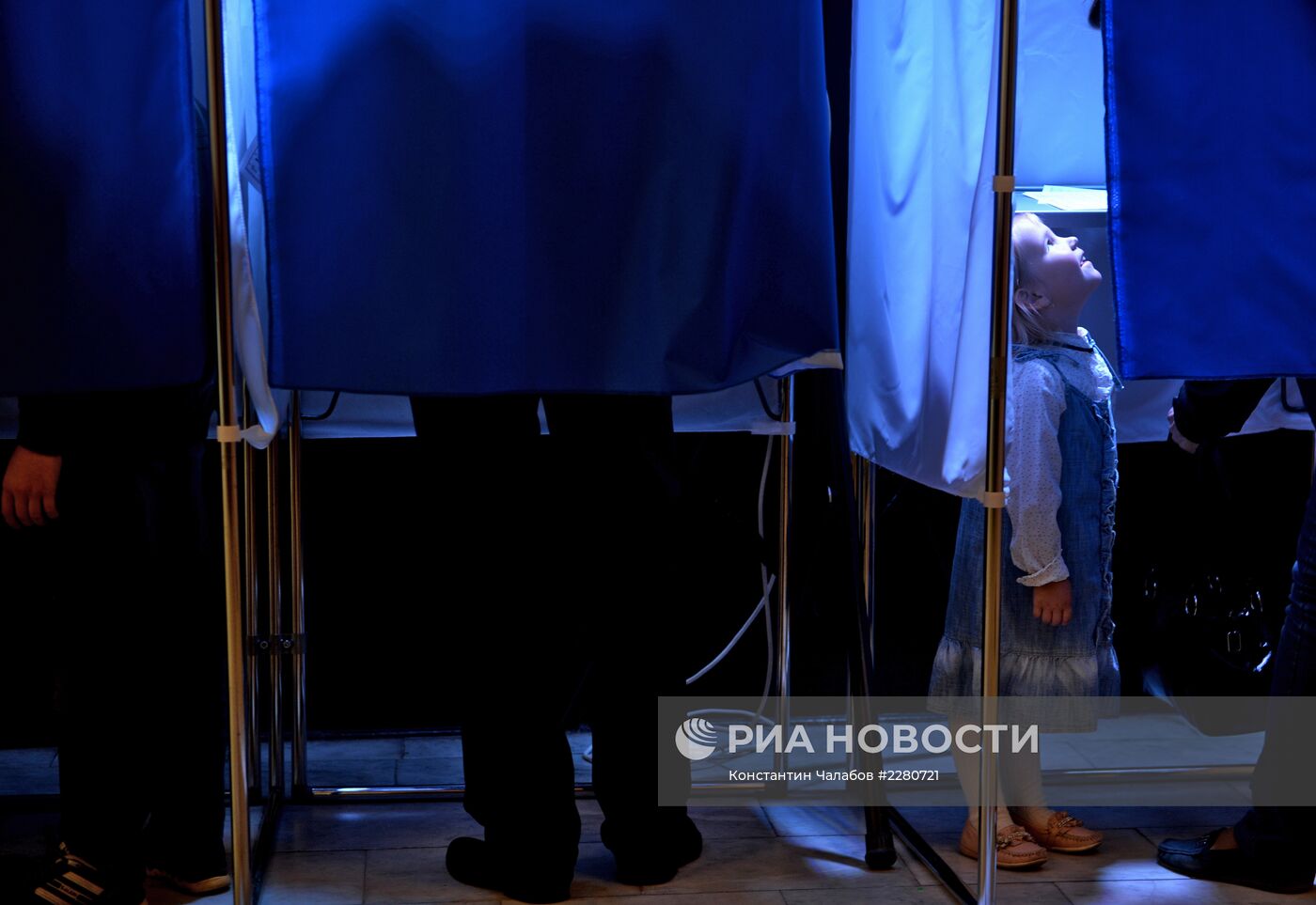Выборы мэра и депутатов в городскую думу в Великом Новгороде