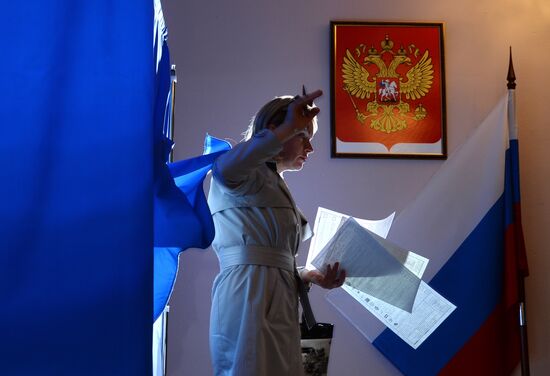 Выборы мэра и депутатов в городскую думу в Великом Новгороде