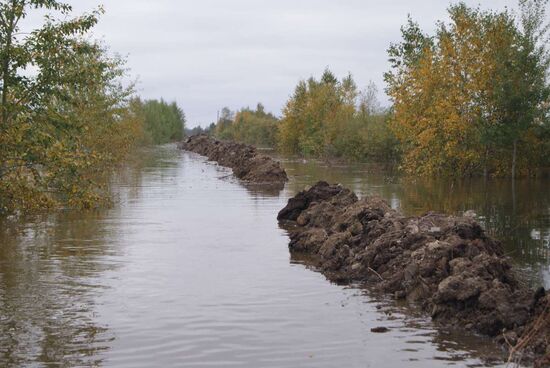 Паводок в районе Комсомольска-на-Амуре