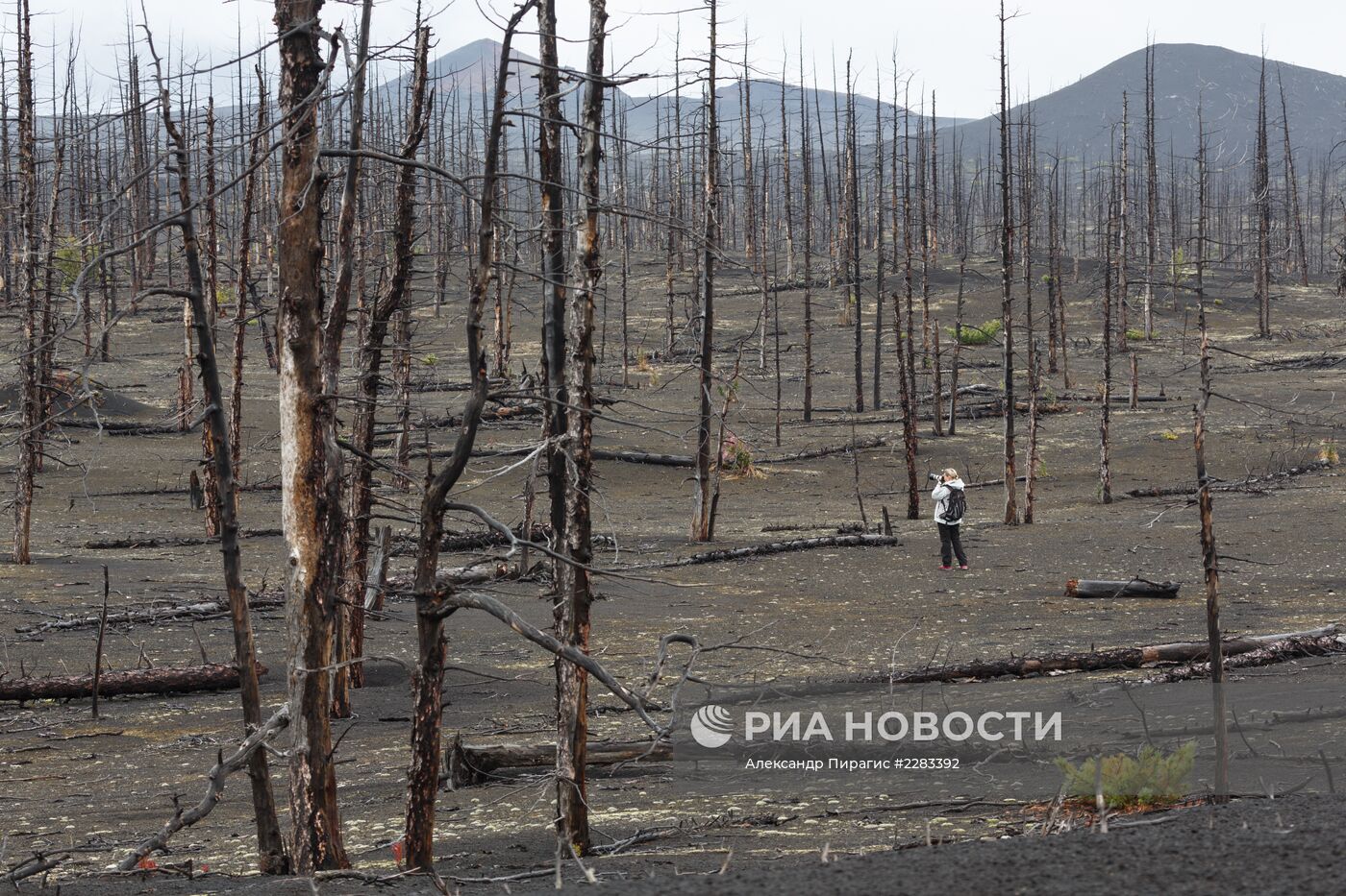 Природный парк "Вулканы Камчатки"