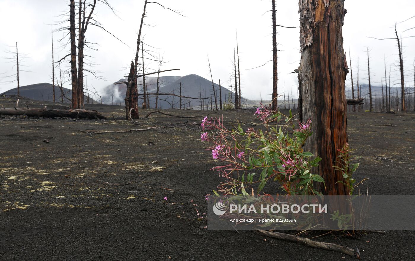 Природный парк "Вулканы Камчатки"