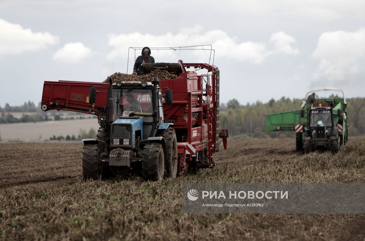 Уборка картофеля на полях Муромского района Владимирской области