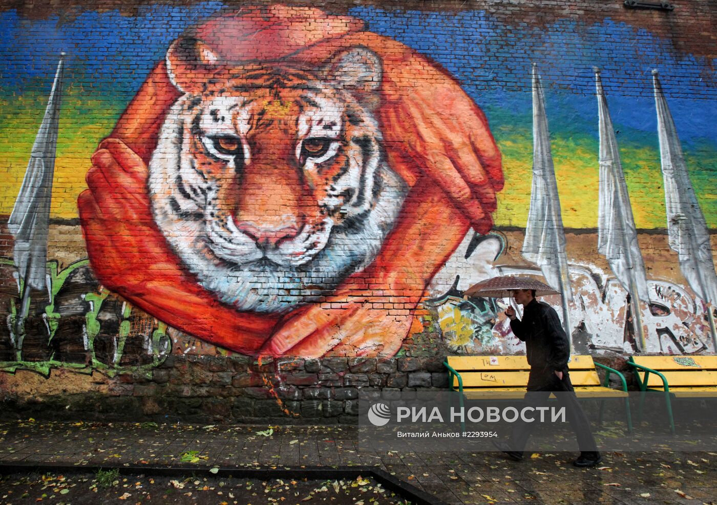 Тигры Владивостока