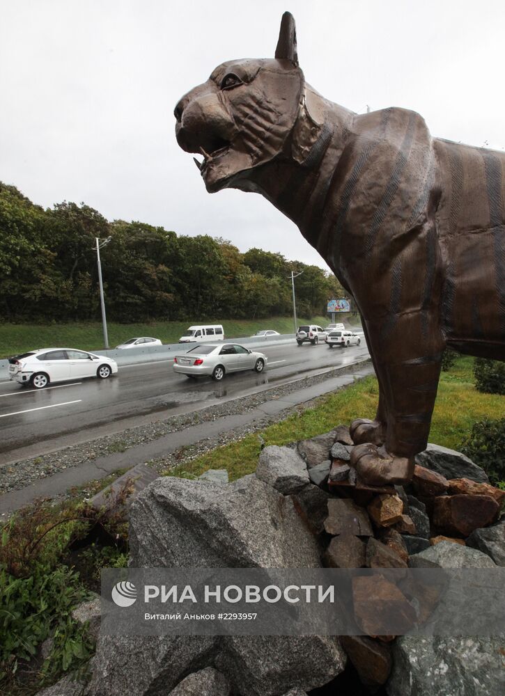 Тигры Владивостока