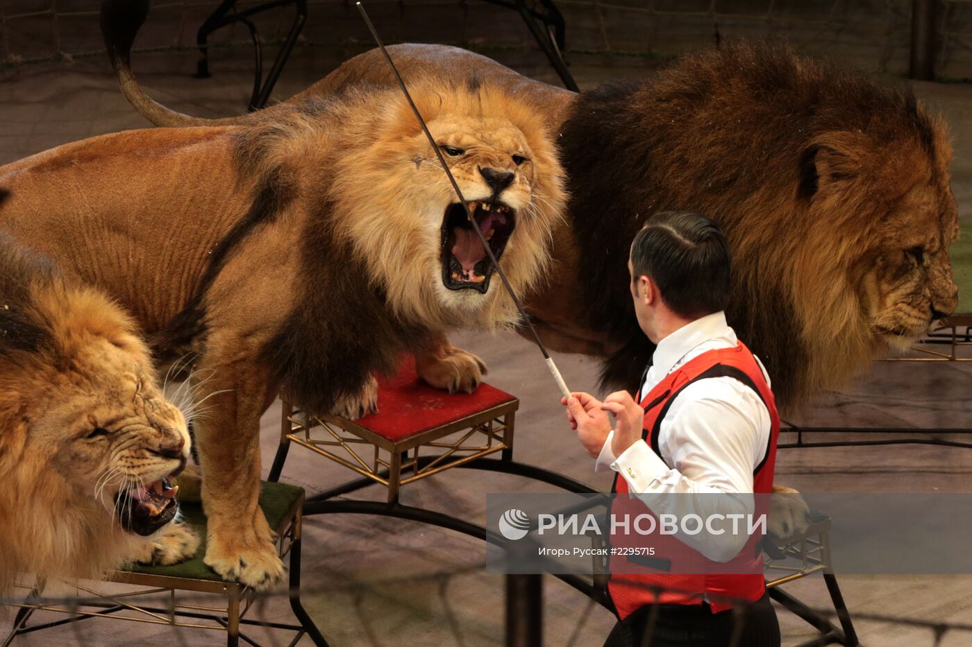Прогон новой программы в цирке Славы Полунина