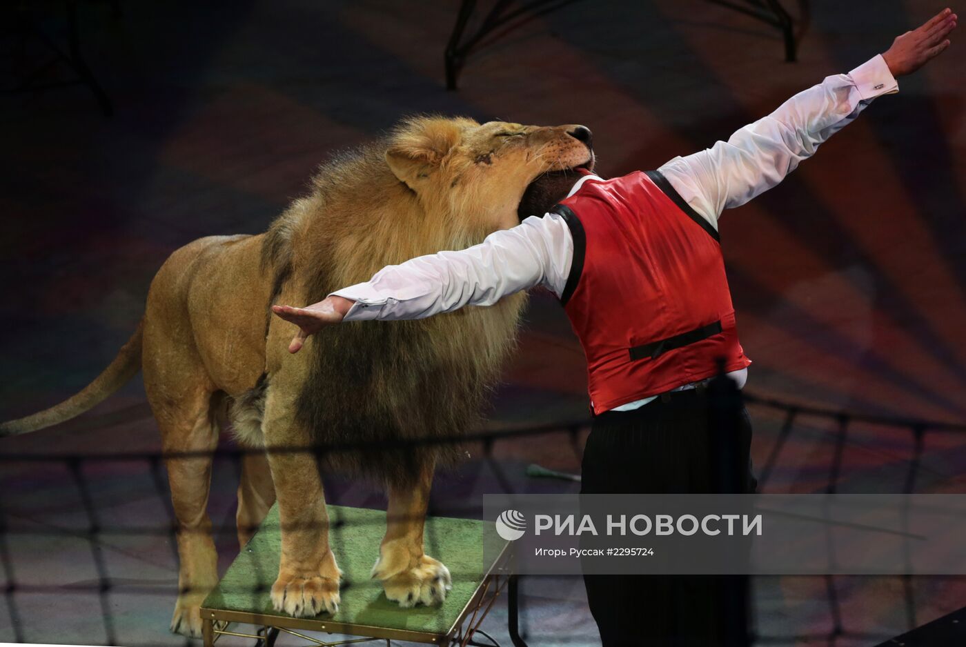 Прогон новой программы в цирке Славы Полунина