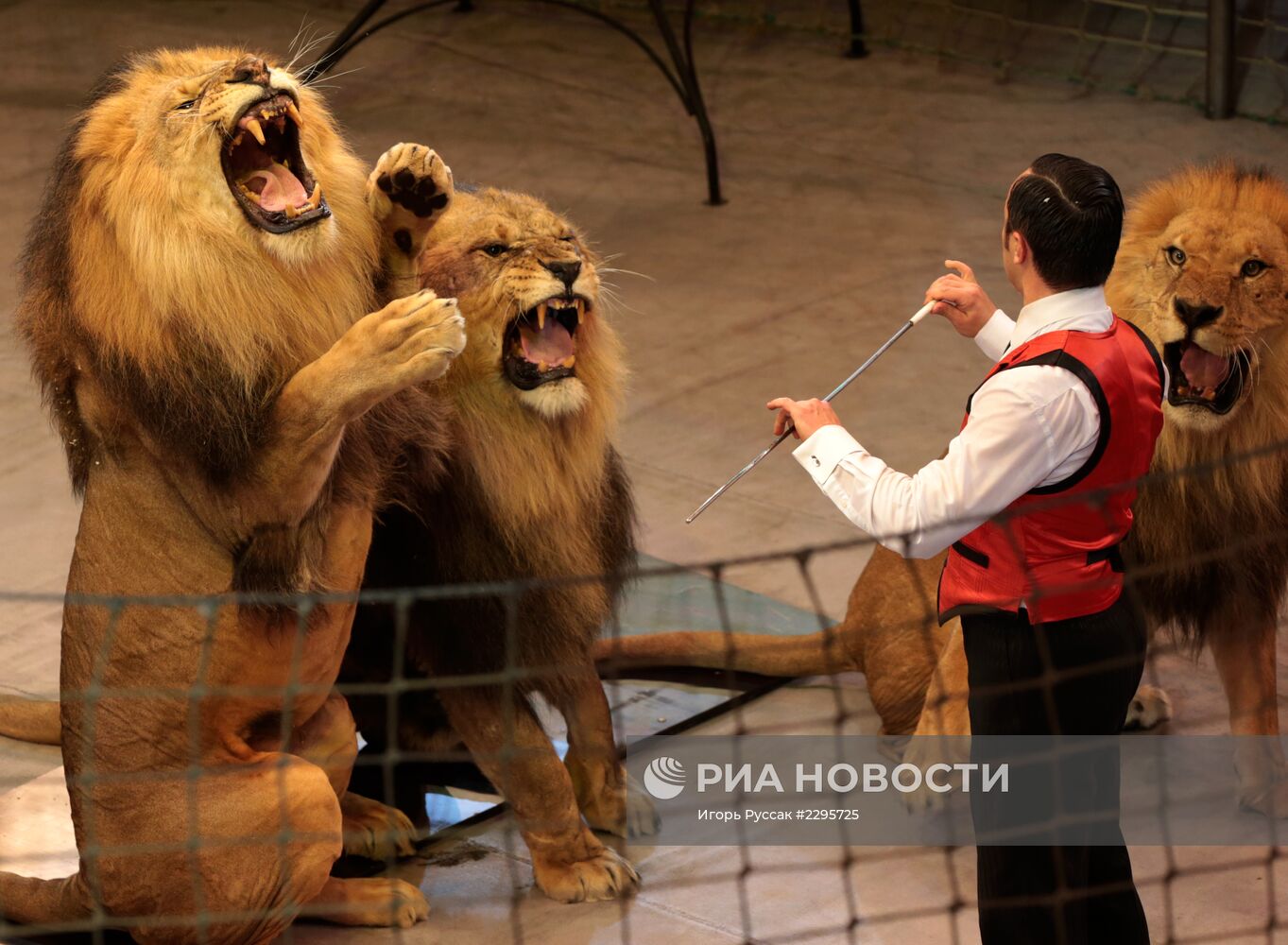 Прогон новой программы в цирке Славы Полунина