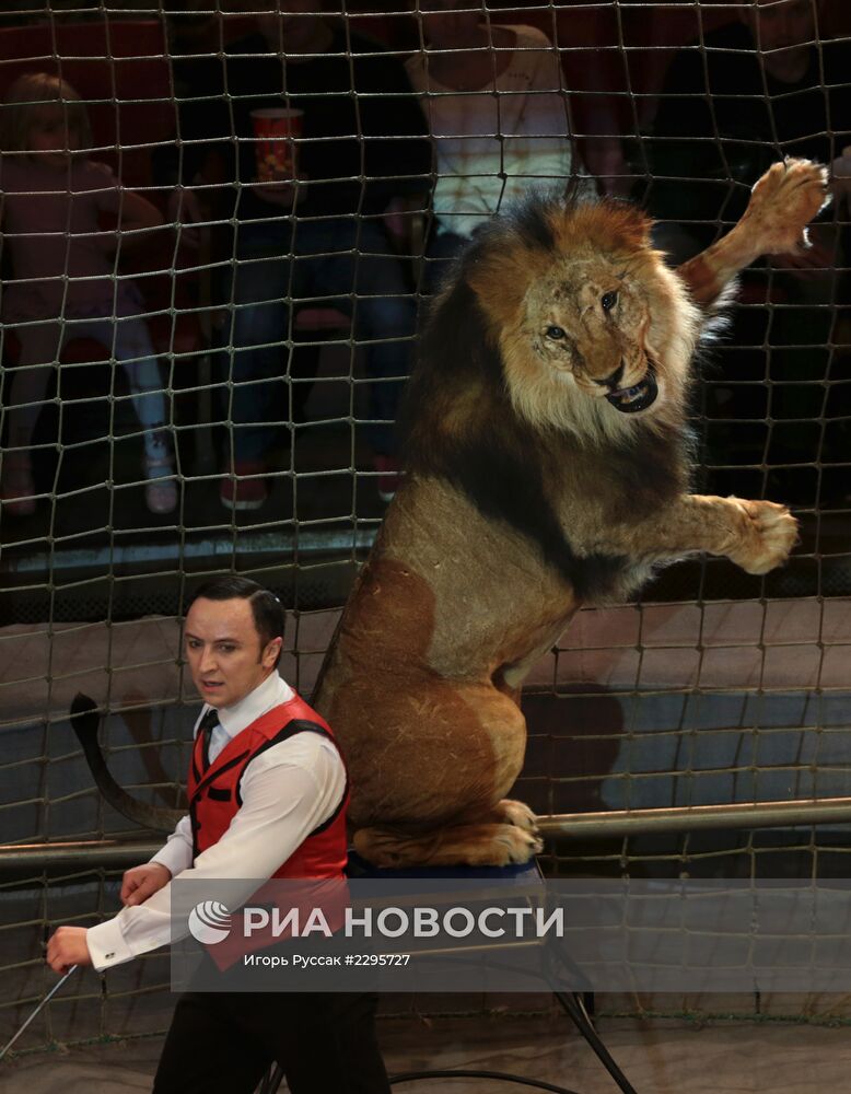 Прогон новой программы в цирке Славы Полунина