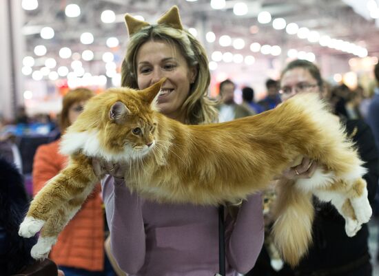 Международый фестиваль "Экспокот" 2013