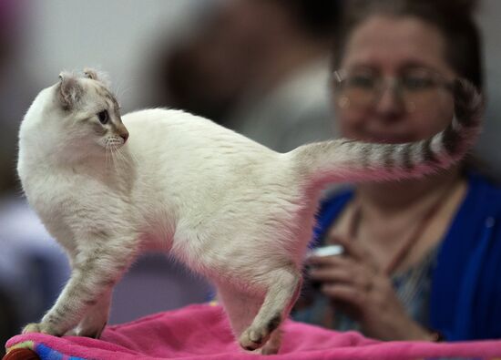 Международый фестиваль "Экспокот" 2013