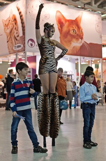 Международый фестиваль "Экспокот" 2013