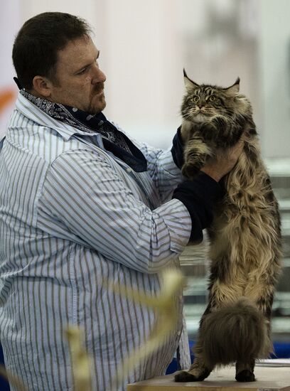 Международый фестиваль "Экспокот" 2013