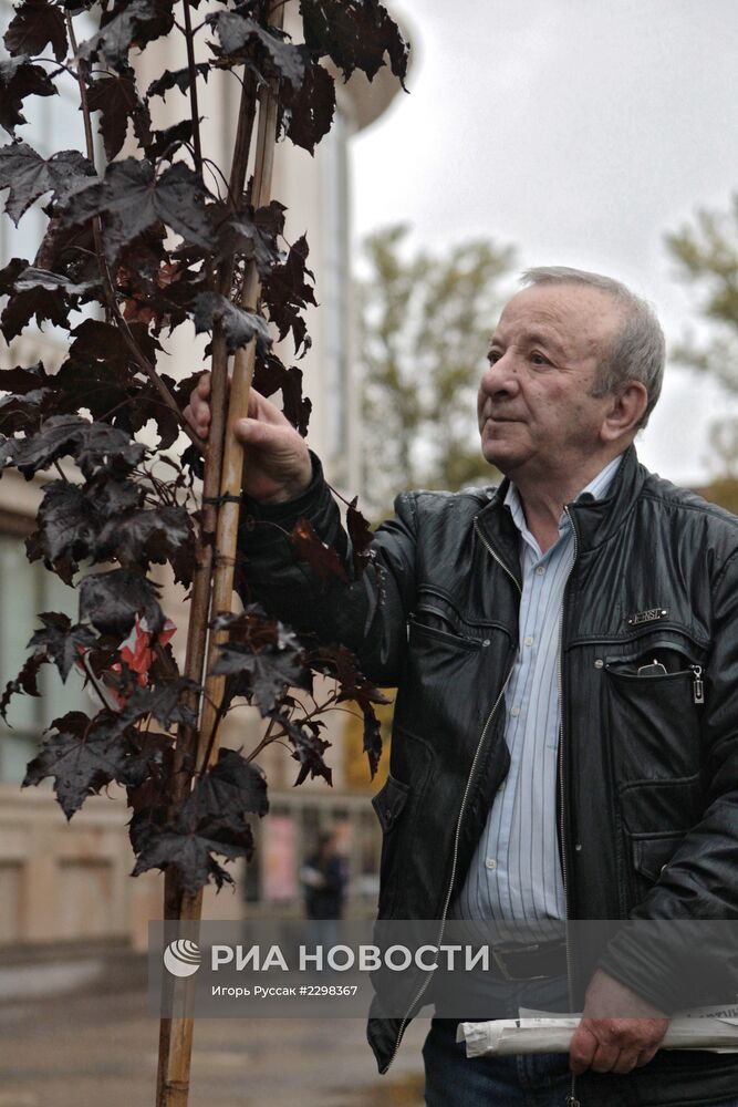 Закладка "Аллеи Ленфильма" в Санкт-Петербурге