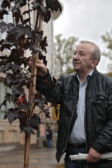 Закладка "Аллеи Ленфильма" в Санкт-Петербурге