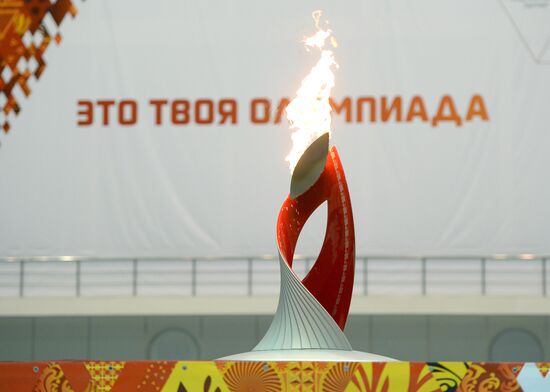 Эстафета Олимпийского огня. Московская область