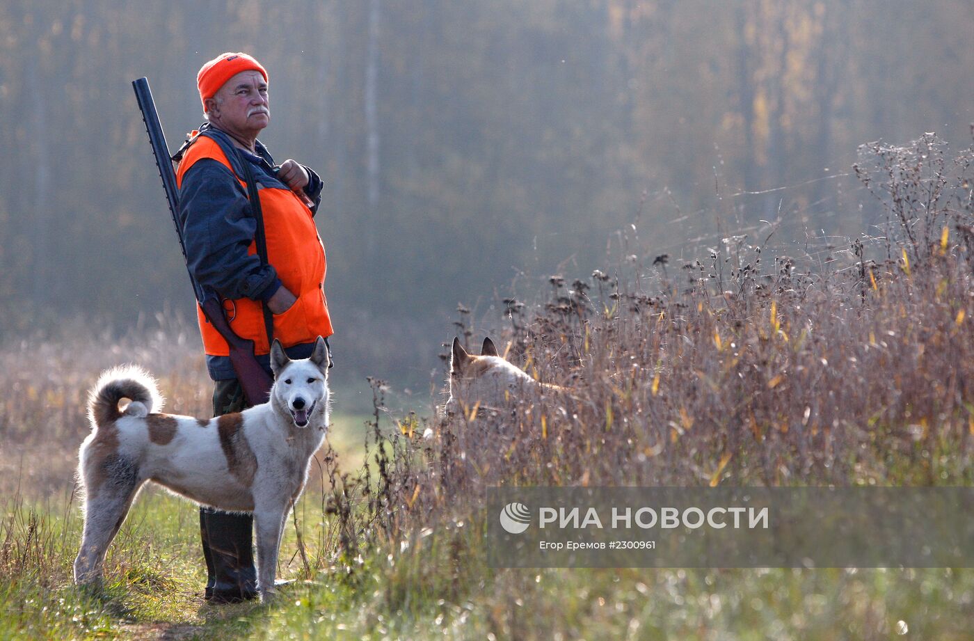Охота на кабана в Могилевской области