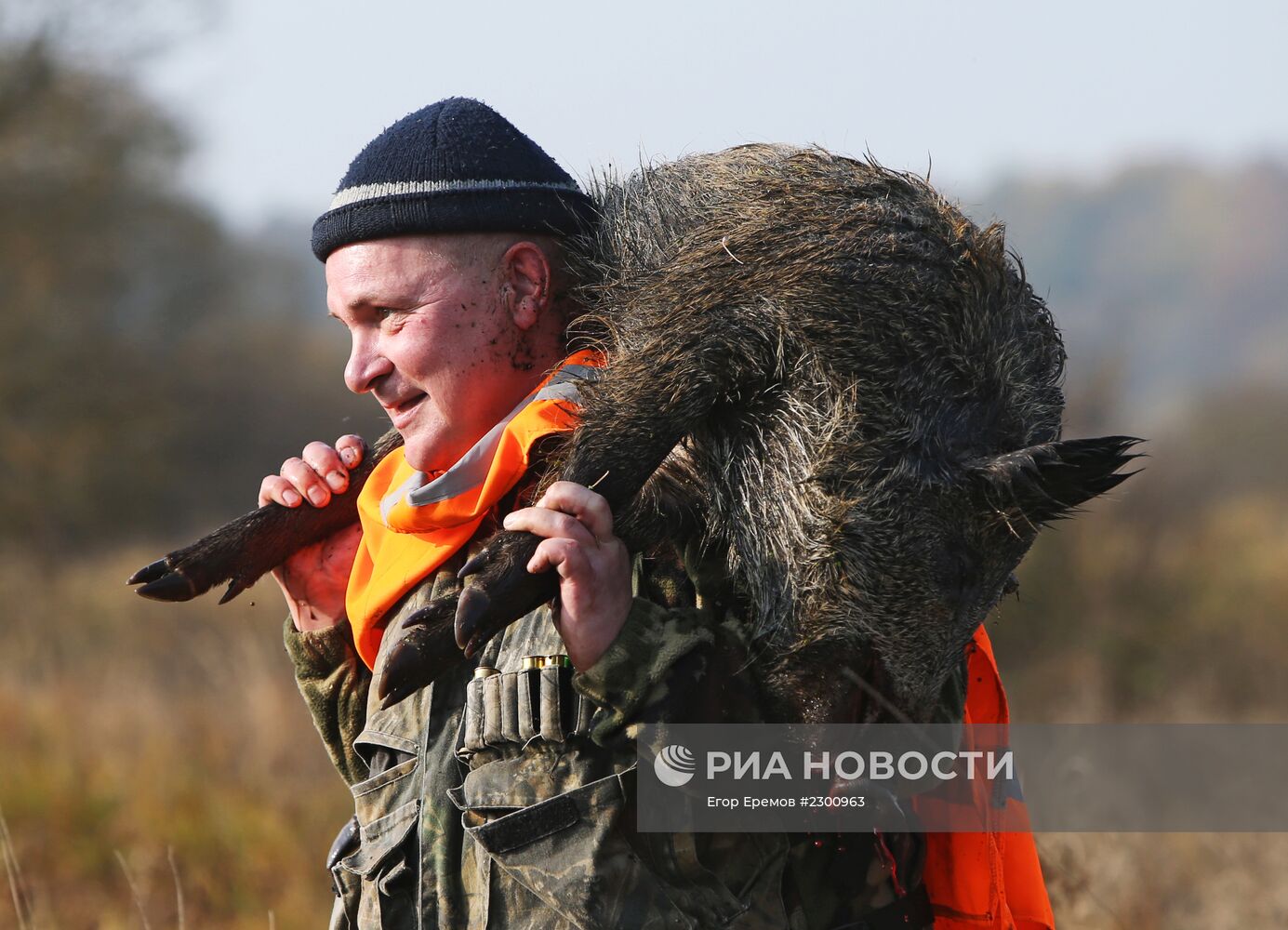 Охота на кабана в Могилевской области